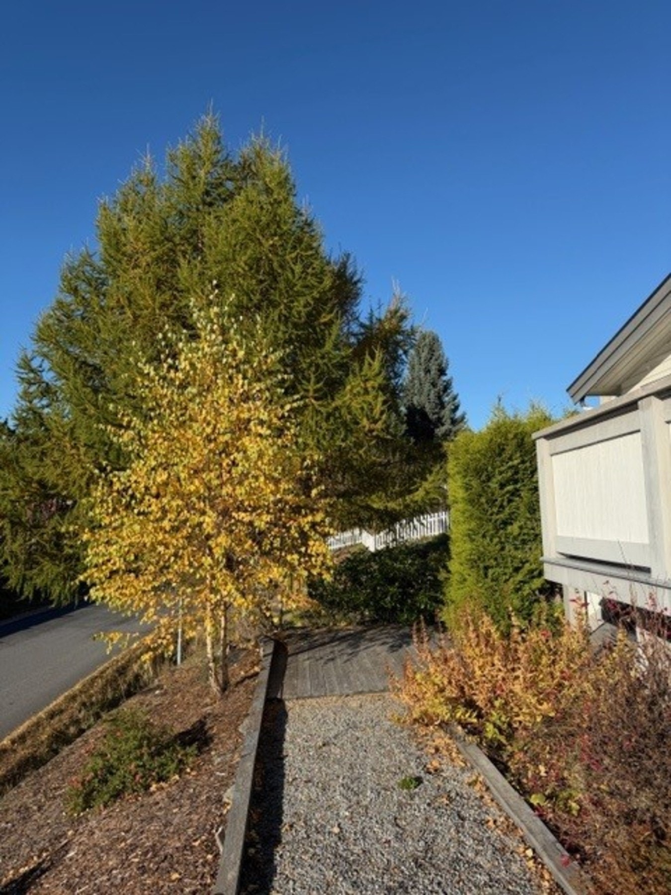 Bilde fra selgers arkiv Galleribilde