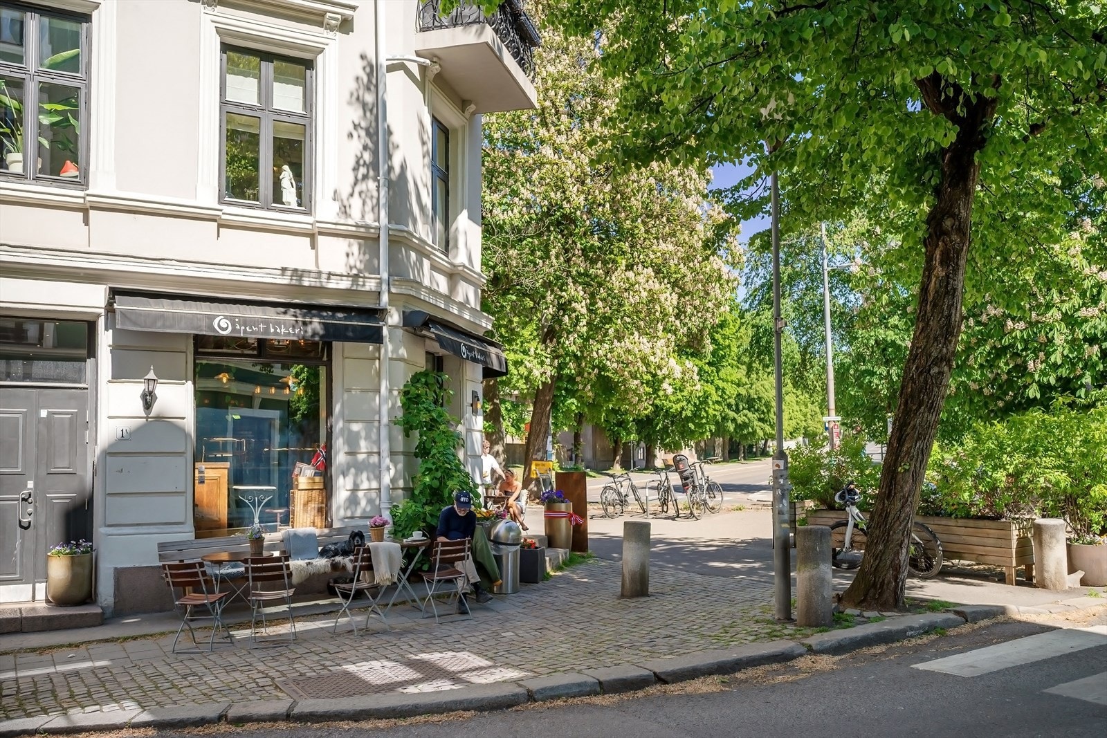 Nærområde - Åpent bakeri. Galleribilde