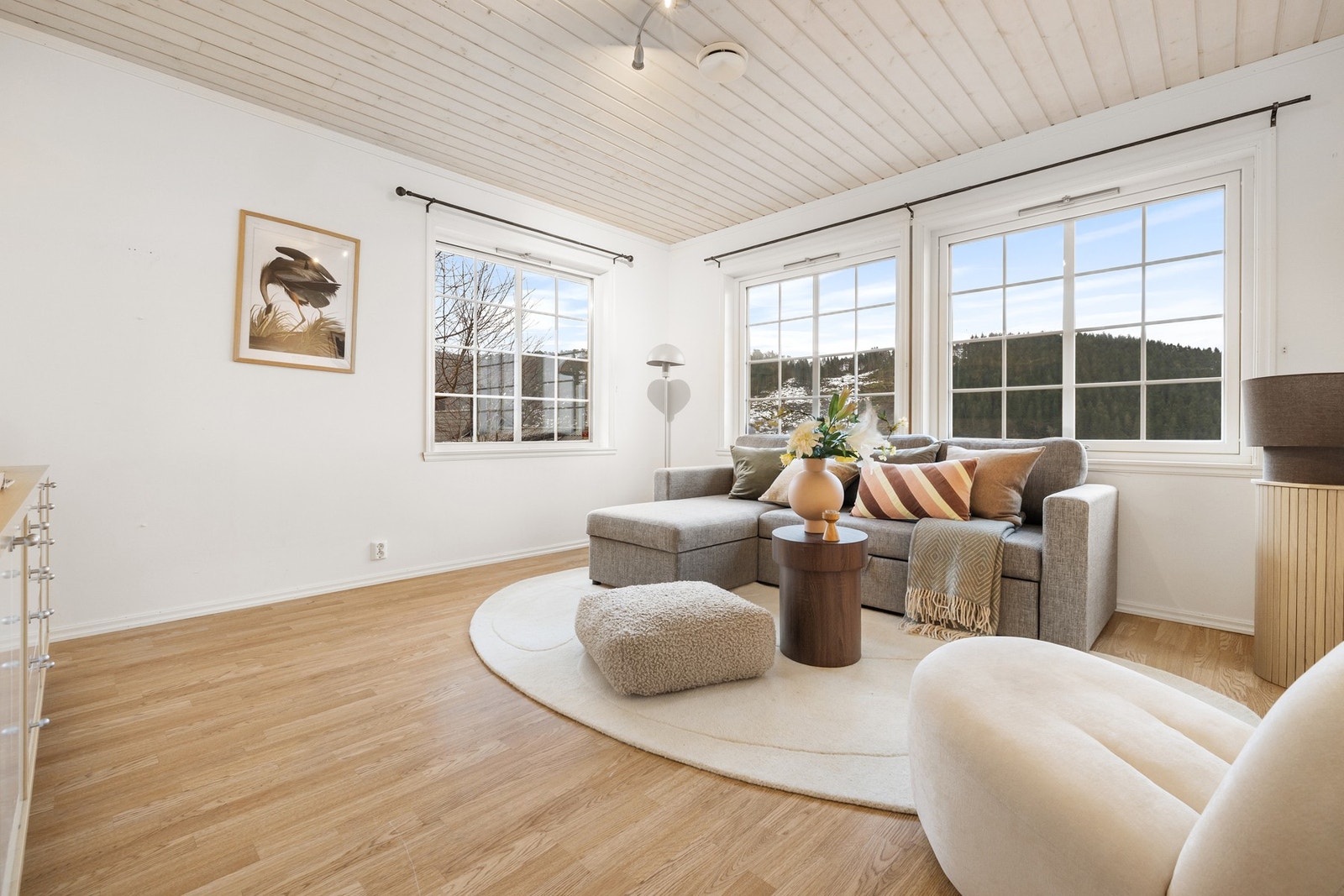 Romslig stue i underetasjen, kan også brukes som soverom Galleribilde