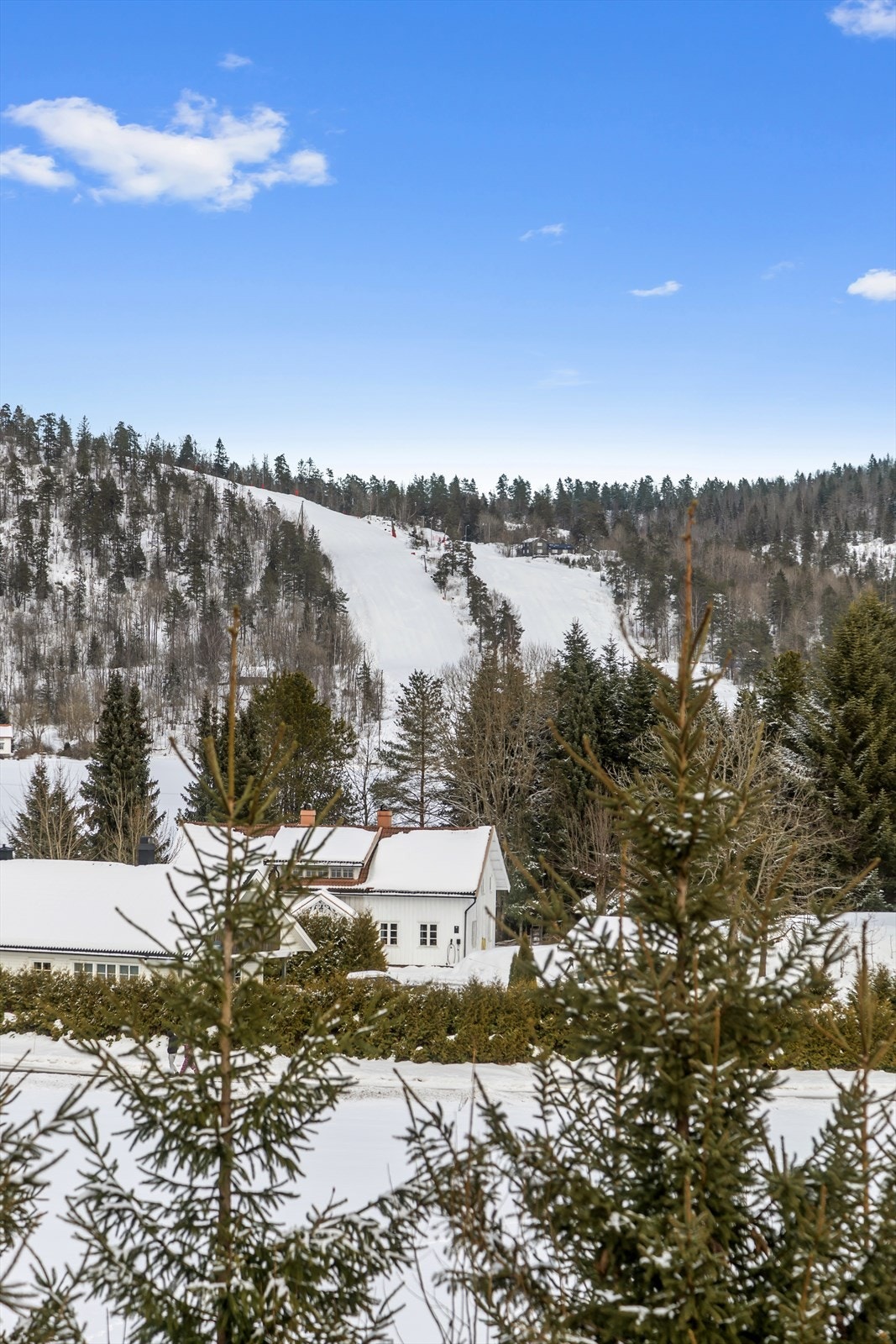 Fin utsikt mot Høgås alpinsenter fra stuen Galleribilde