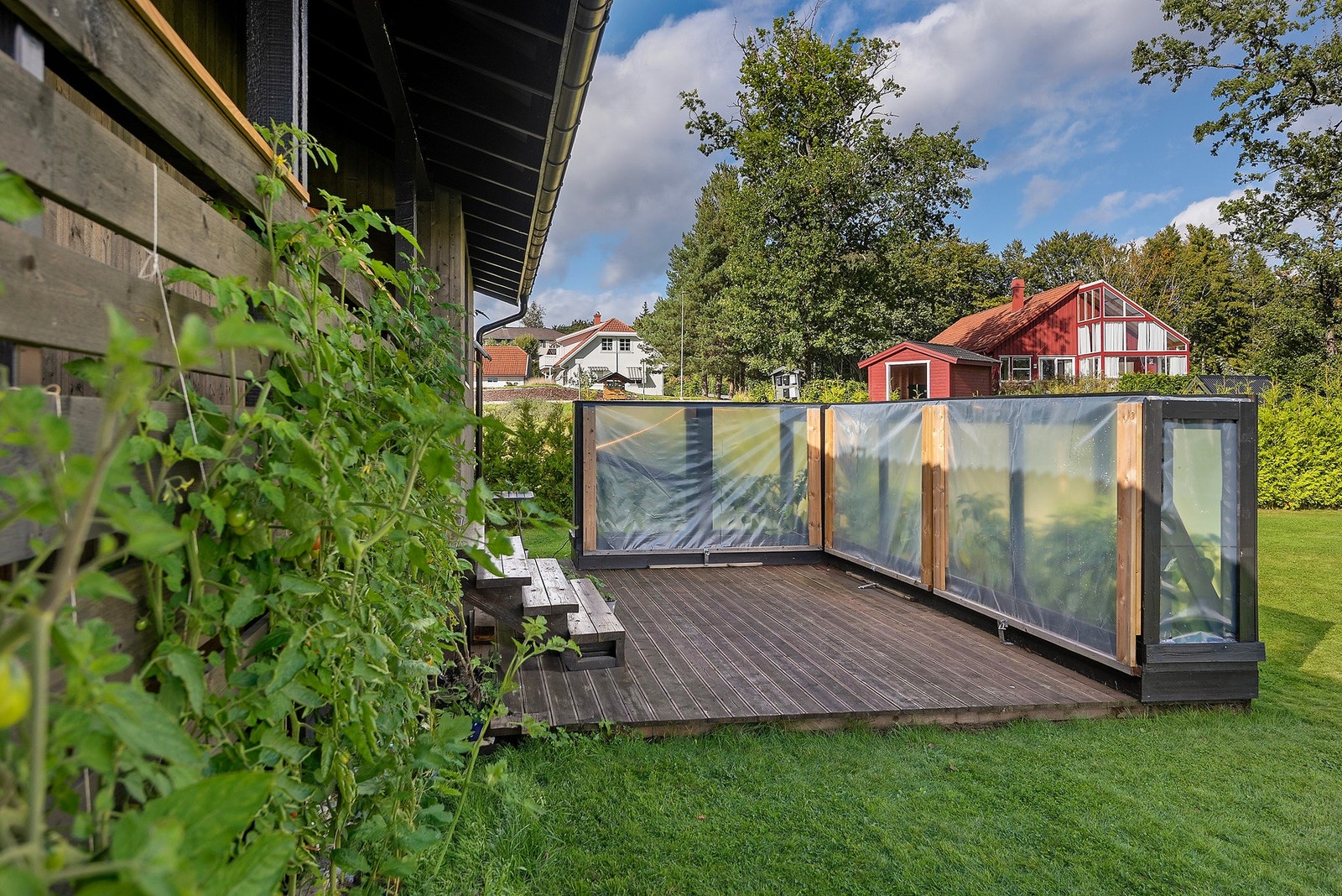 Gode solforhold og muligheter til å dyrke ditt eget tilbehør til middagen Galleribilde