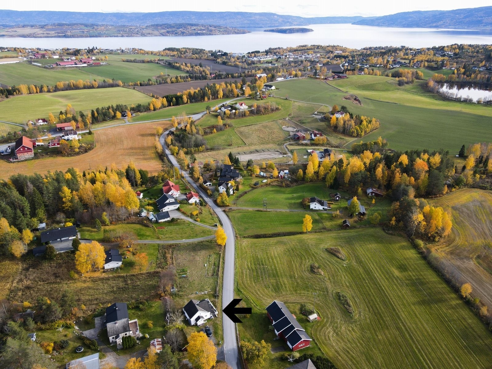 Sommerbilder. Galleribilde