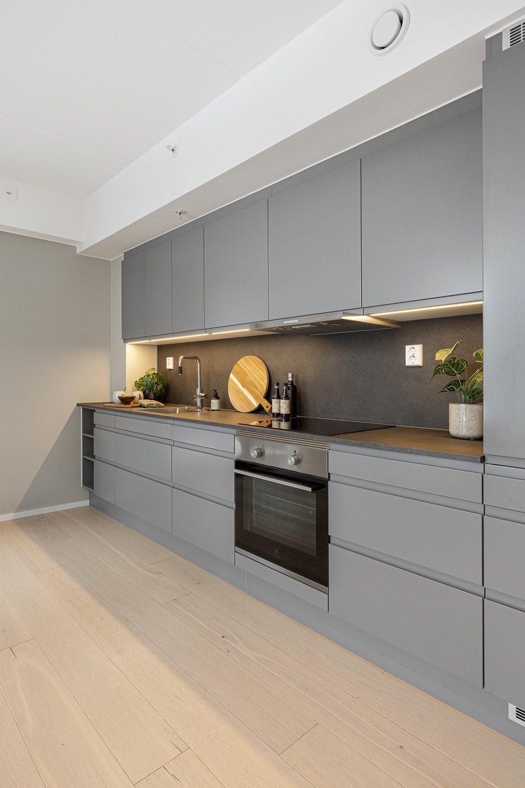 Av integrerte hvitevarer finner du kjøl-/fryseskap, oppvaskmaskin, nedfelt induksjonstopp og stekeovn. Galleribilde