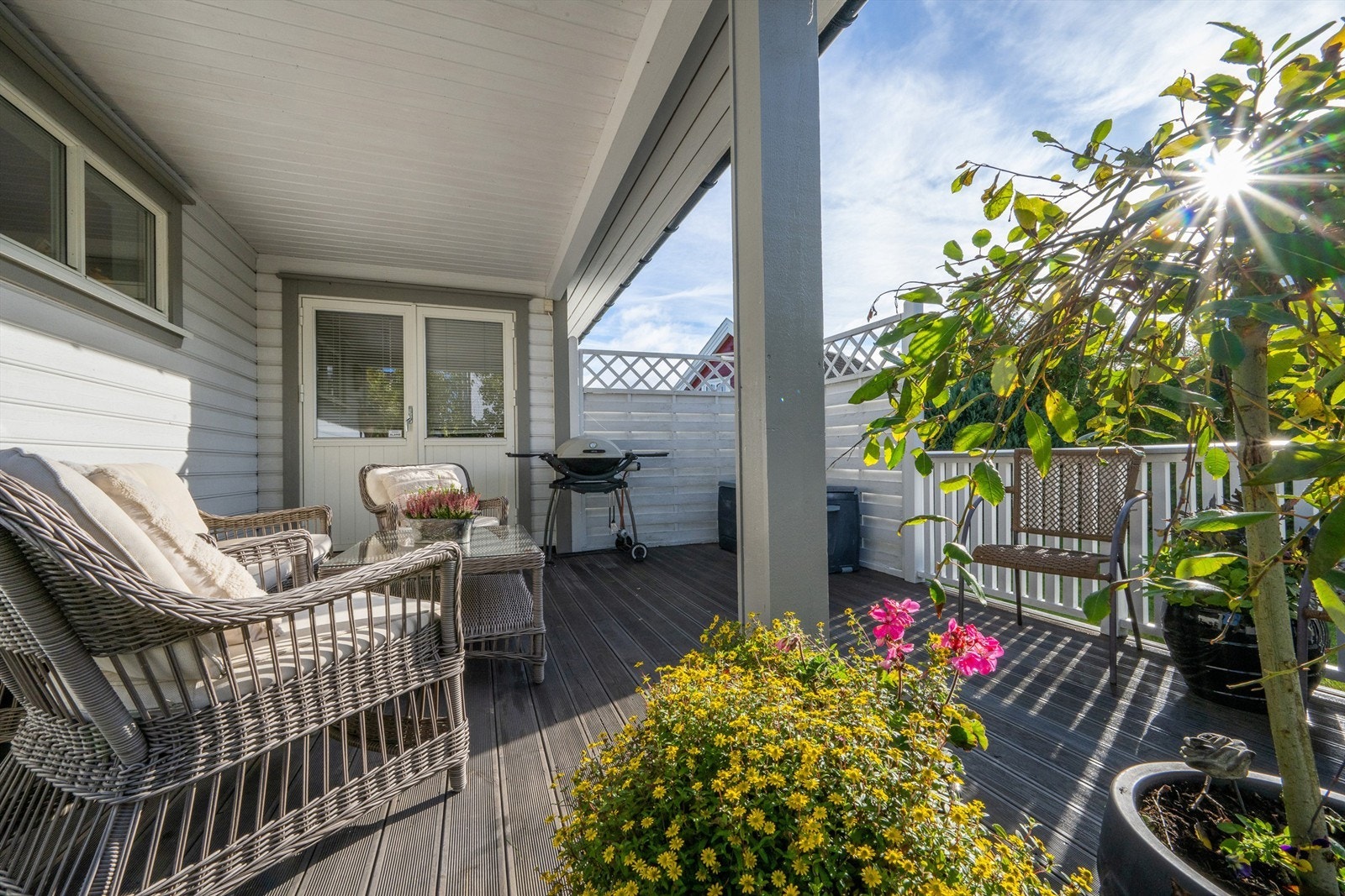 Sol i november Galleribilde