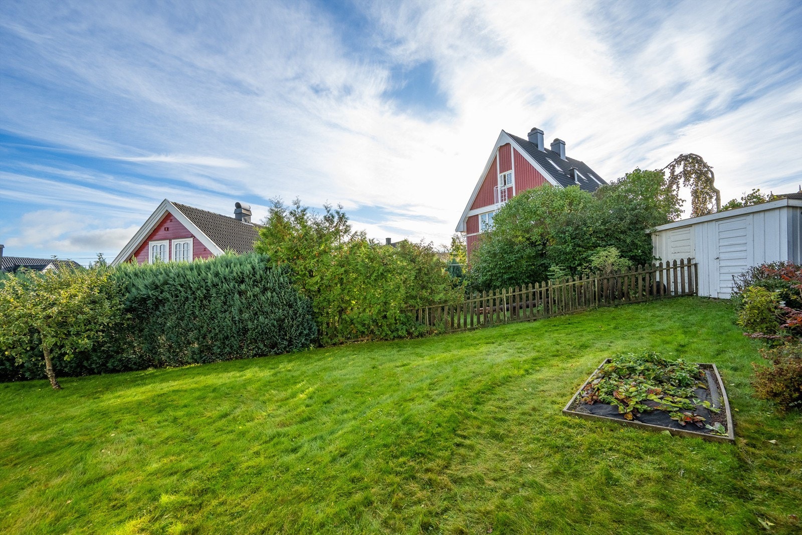 Fin tumleplass for store og små, to- og firbeinte Galleribilde