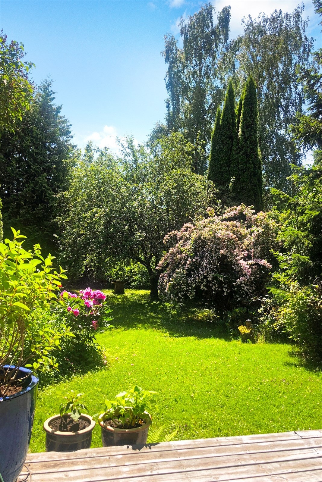 Privat bilde fra selger Galleribilde