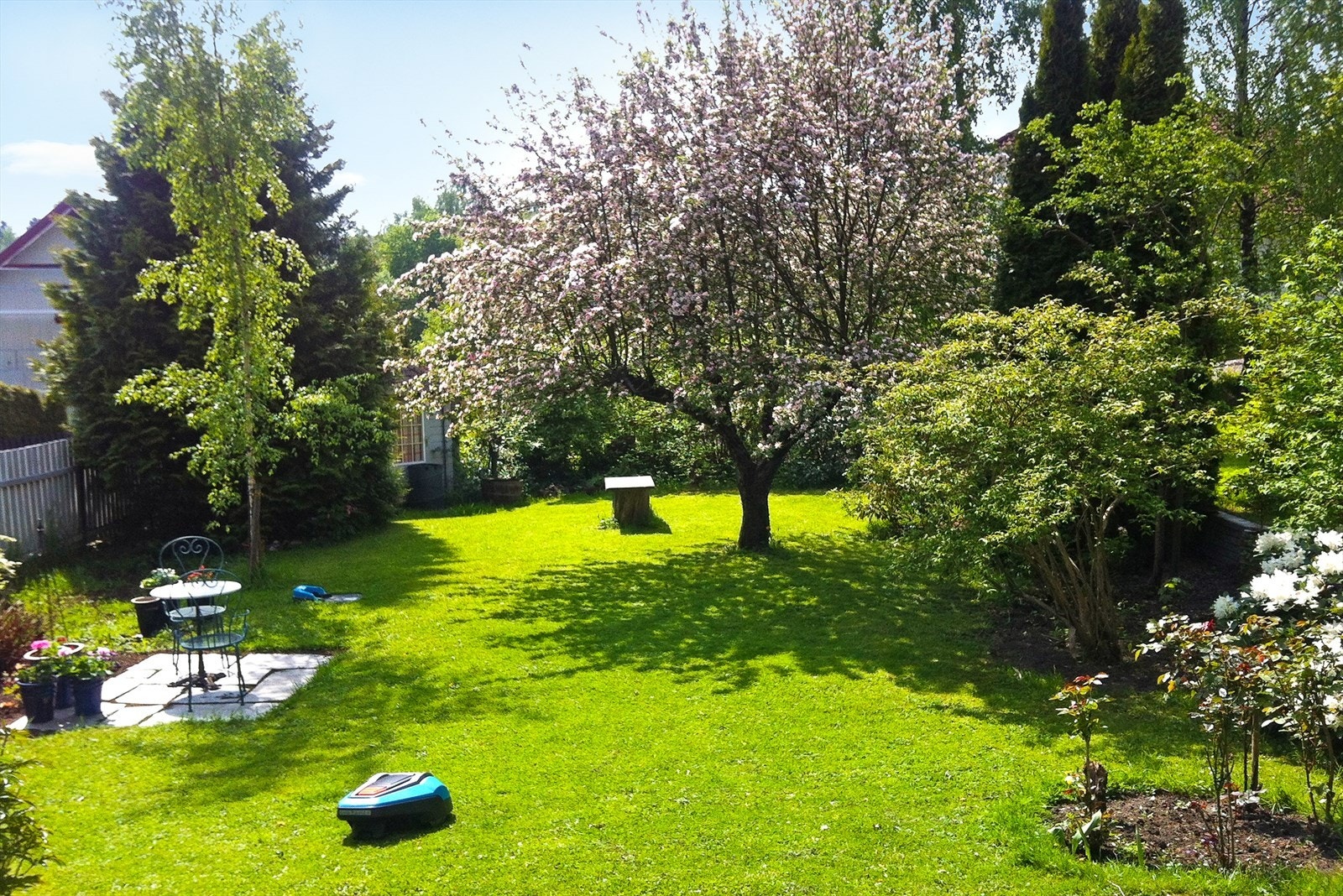 Privat bilde fra selger Galleribilde