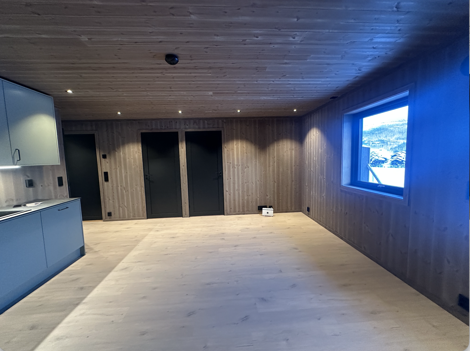 Stue II Galleribilde