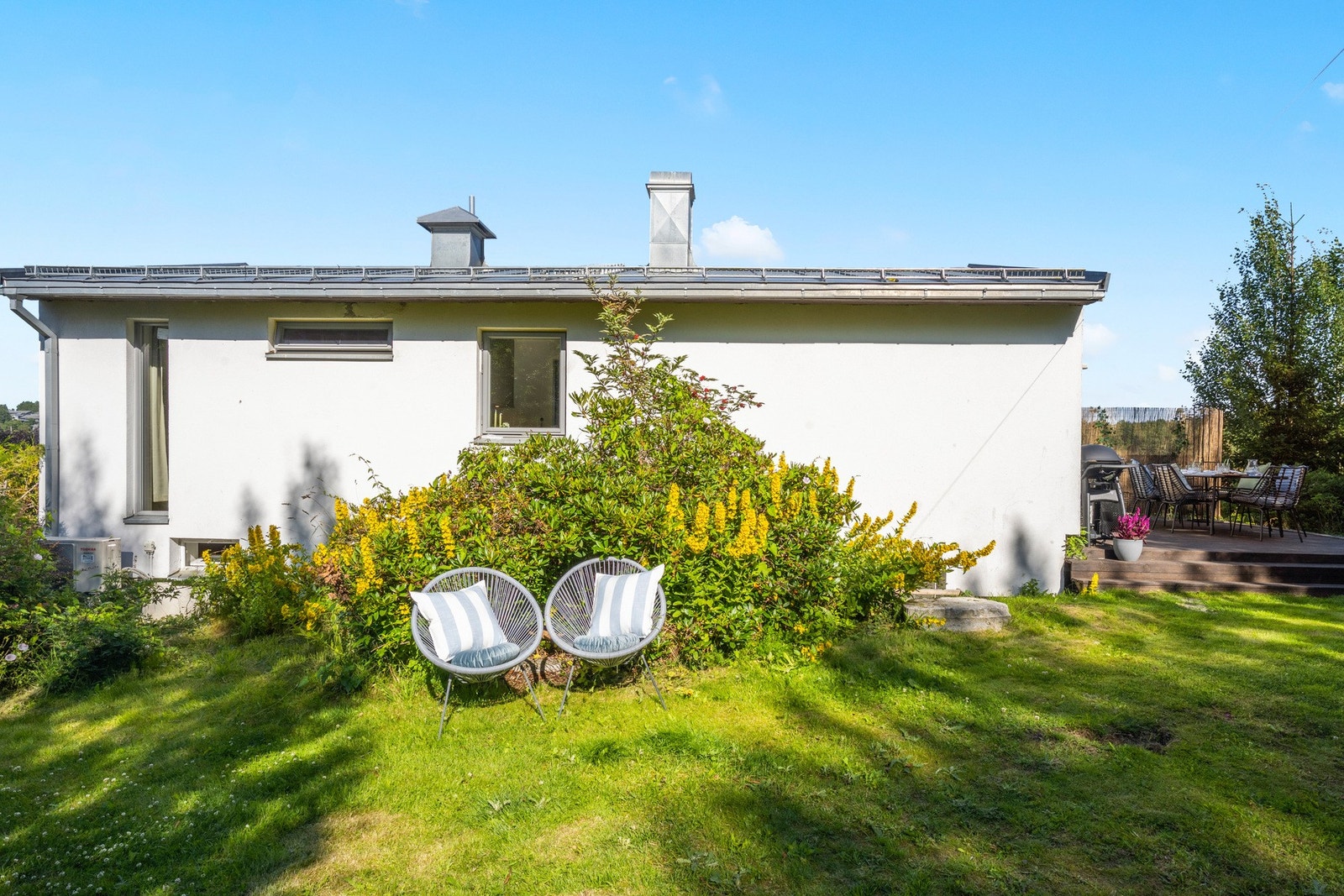 Hagen er grønn og frodig. Galleribilde