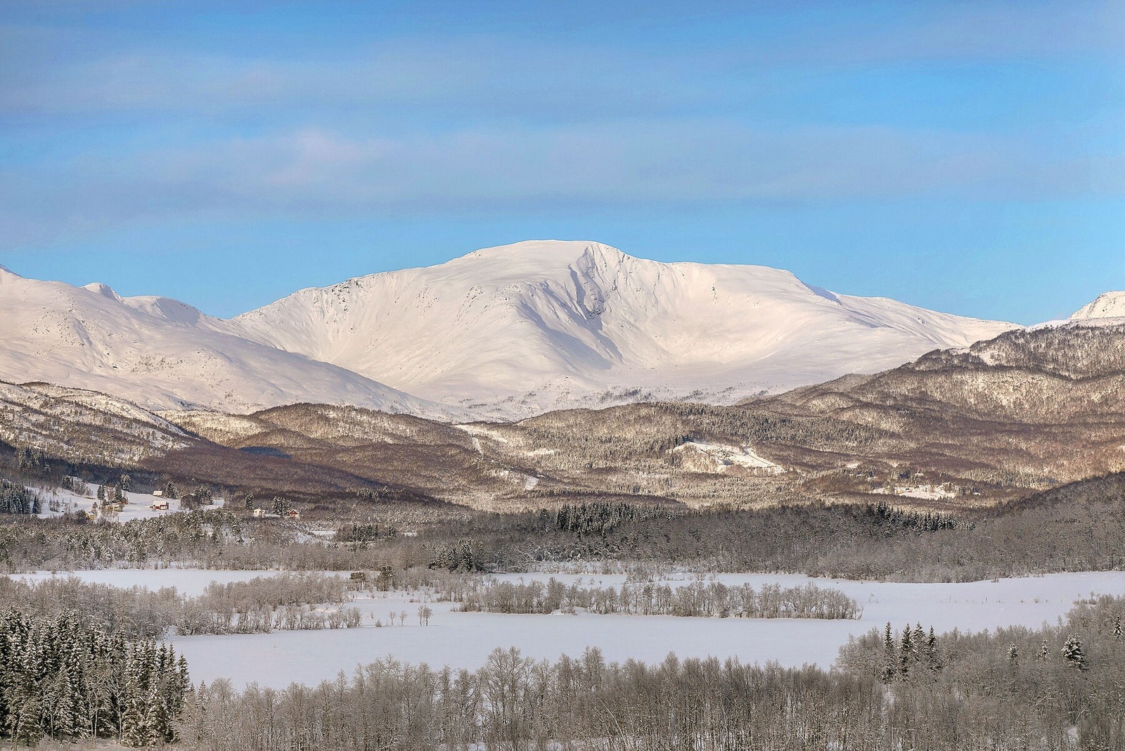 Utsikt fra verandaen Galleribilde