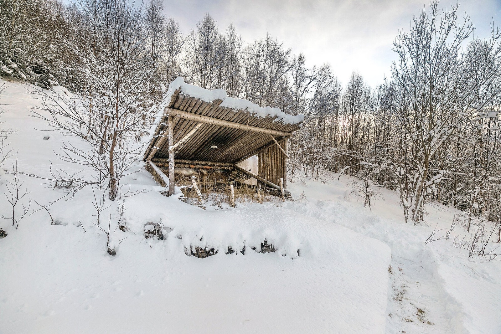 Gapahuk Galleribilde