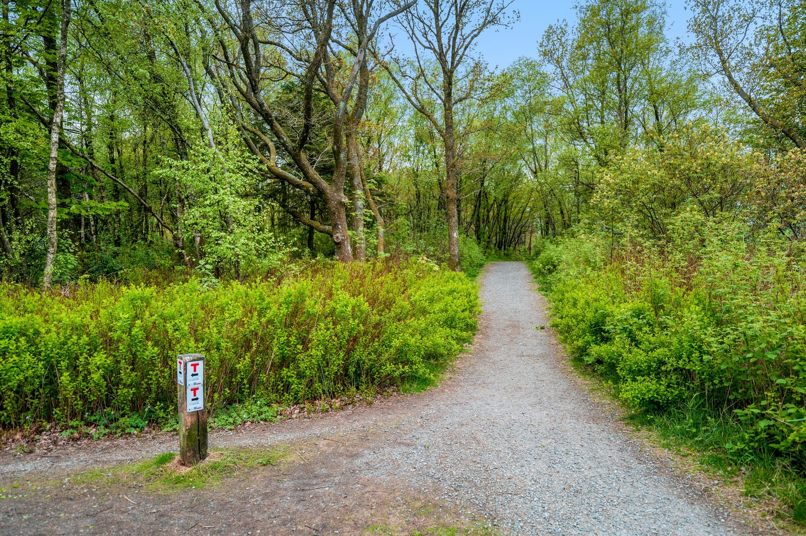 Velkommen til visning! Galleribilde