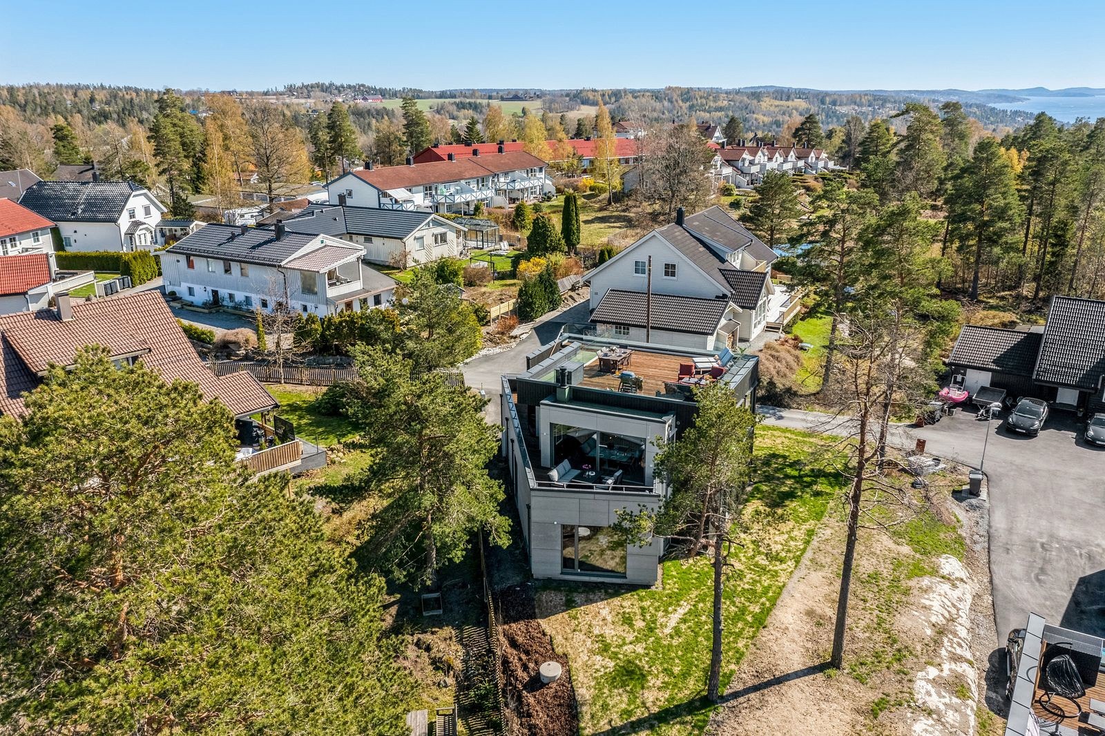 Hage med gressplen Galleribilde