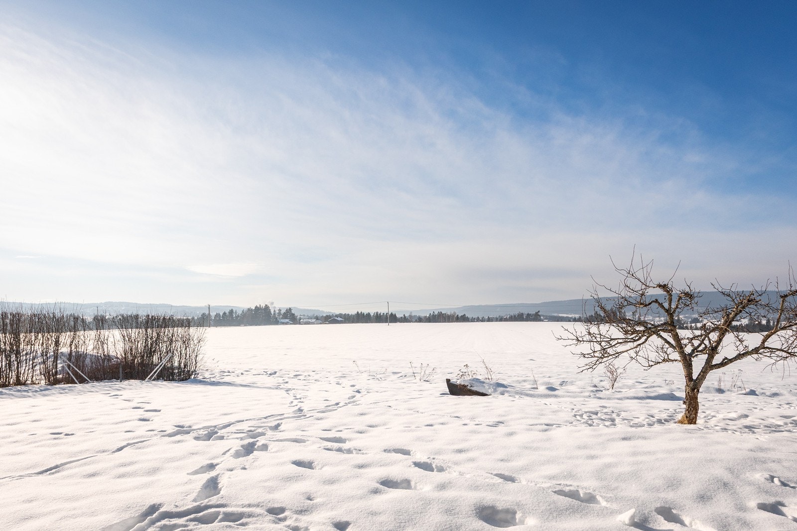 Om sommeren kan du velge om du vil bade i Glomma eller i Kuskerudnebben - et populært utendørs badeanlegg. Galleribilde