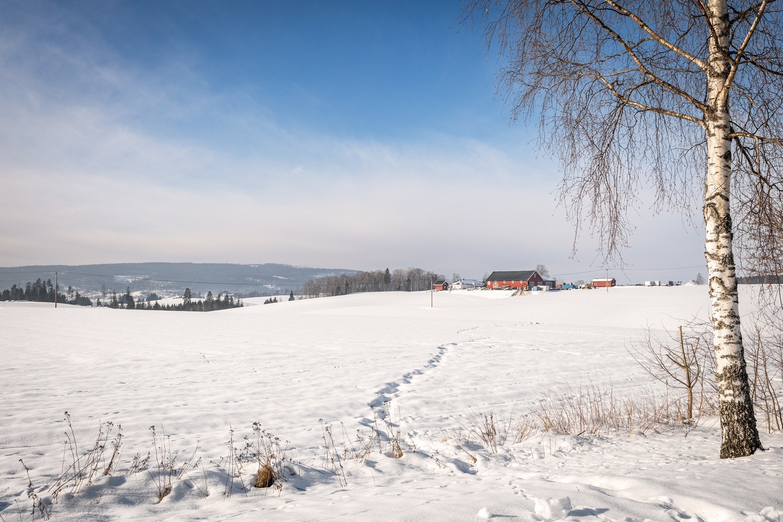 Fra eiendommen er det rask tilgang til flotte turområder - både i nærliggende skogsområde, men også langs Glommas bredder. Galleribilde