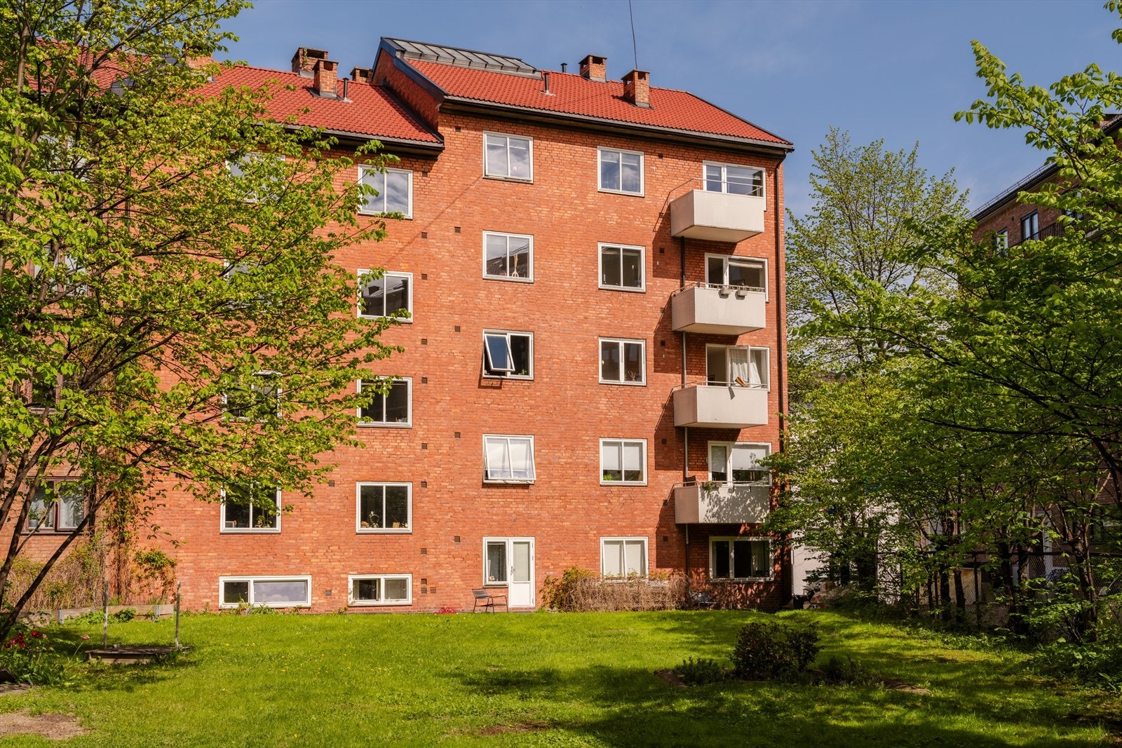 Grønn og frodig bakgård med flott gressplen Galleribilde