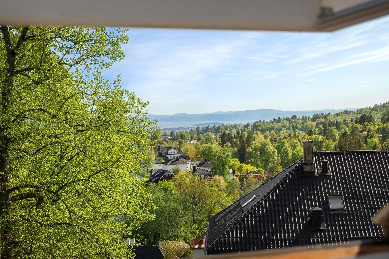 Fantastisk utsikt mot fjorden Galleribilde