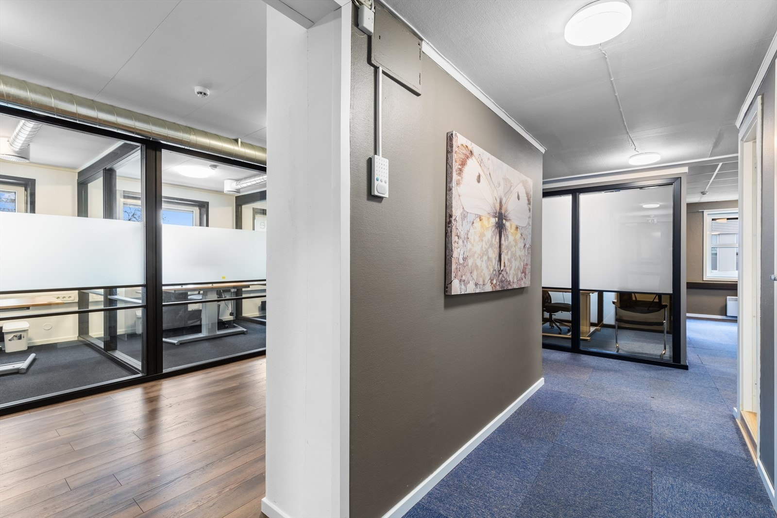 316363_3W1A2636.jpg Galleribilde