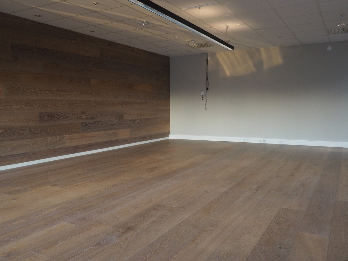 P2030081 Galleribilde