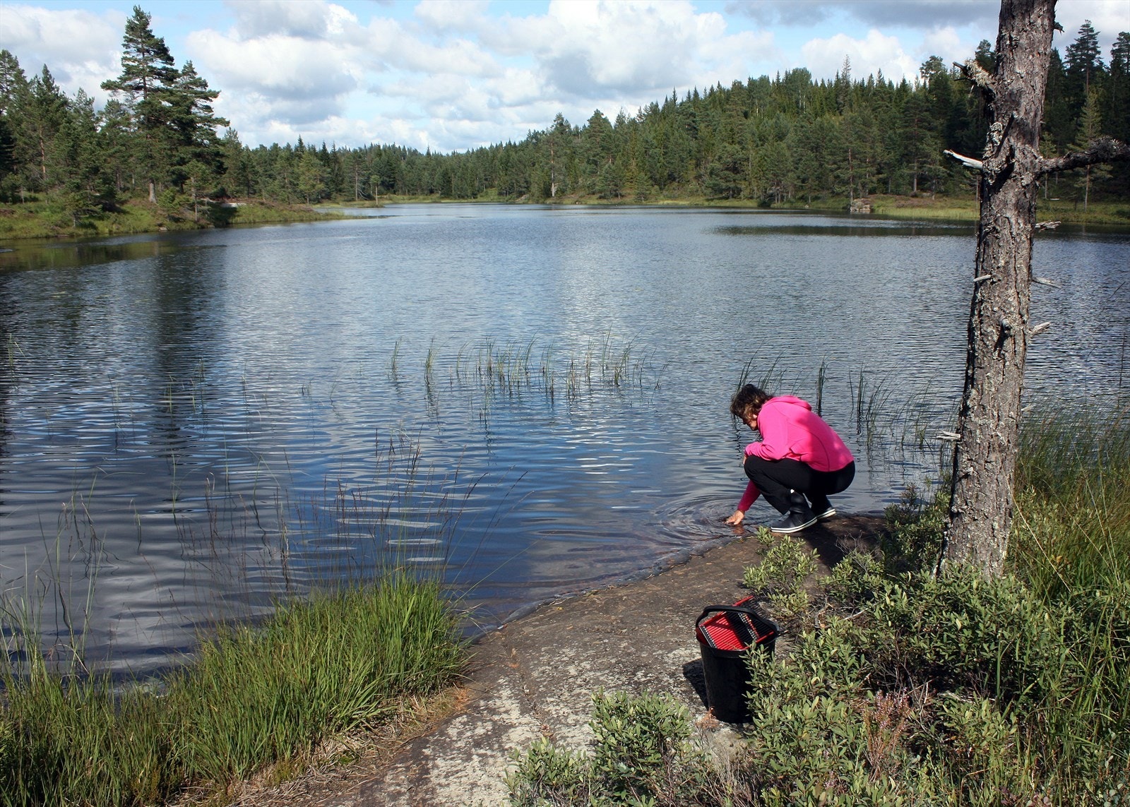 Flere småvann i nærområdet Galleribilde