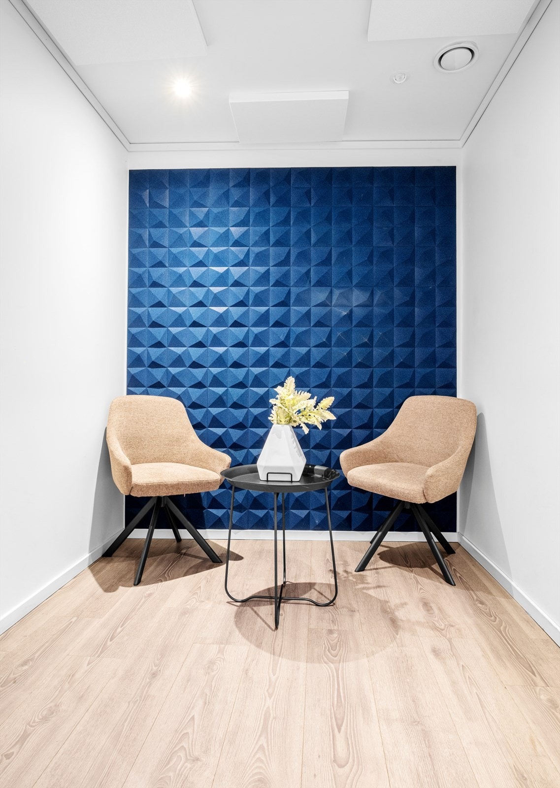 _DSF1125 copy.JPG Galleribilde