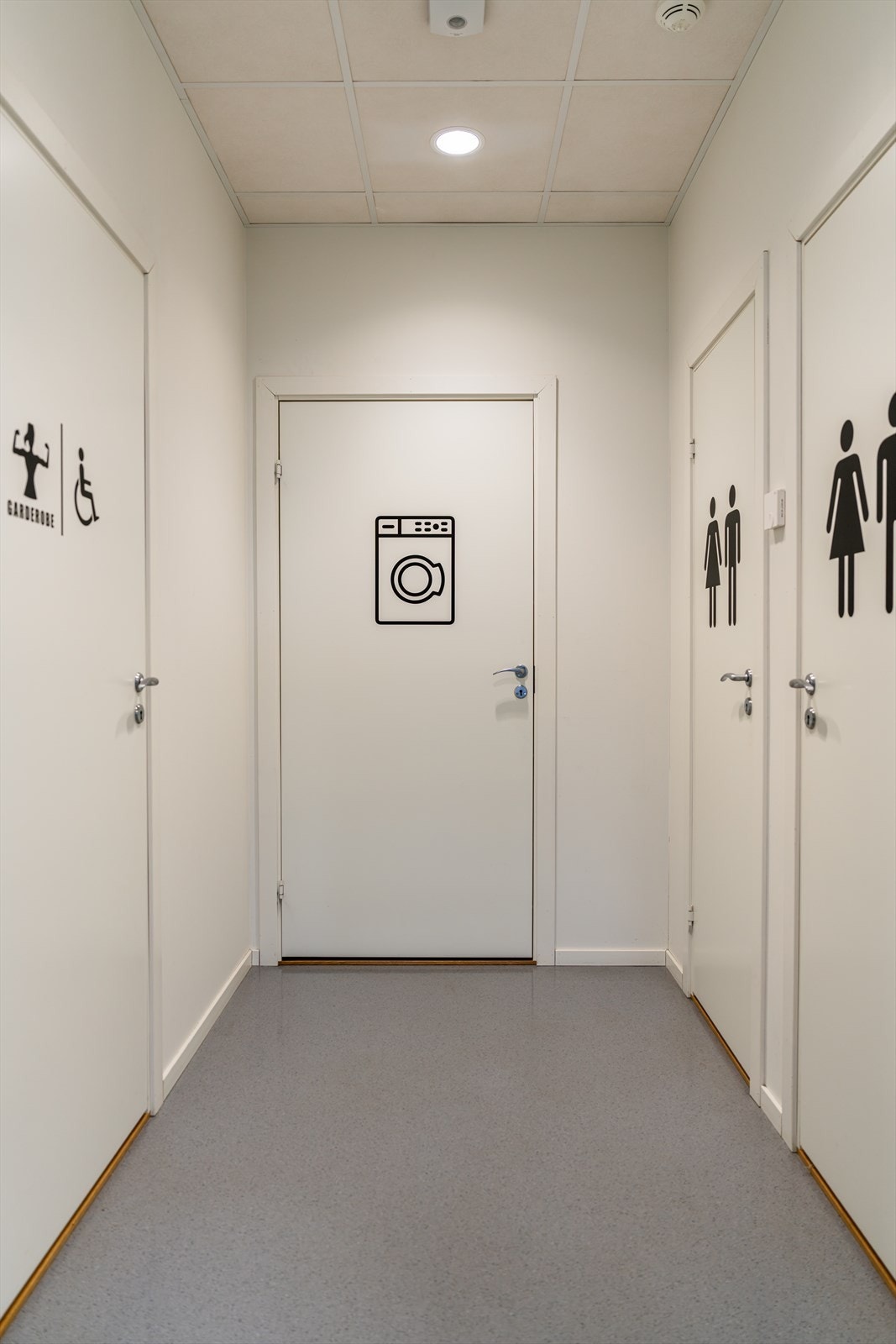 _DSC6642.jpg Galleribilde