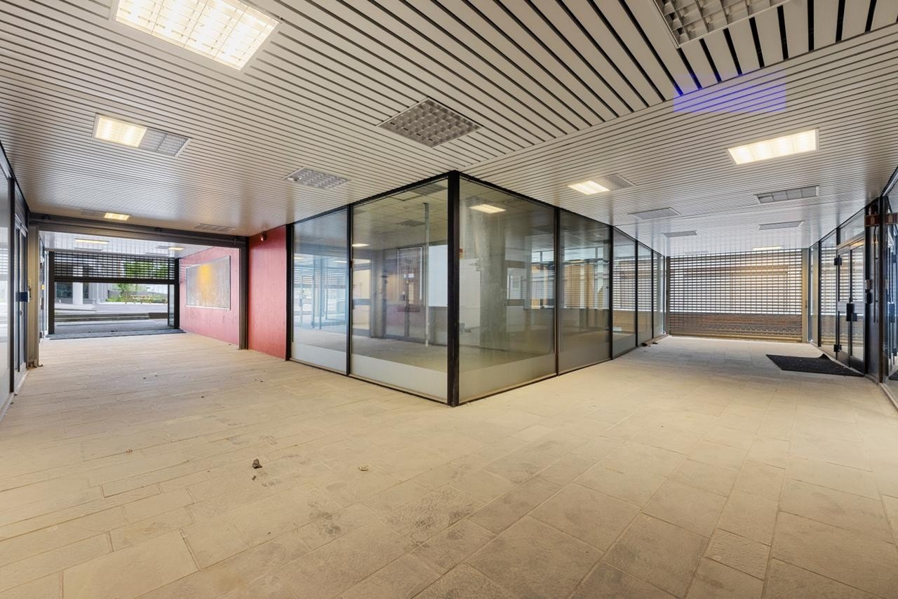 298688_1C6A6851 Galleribilde