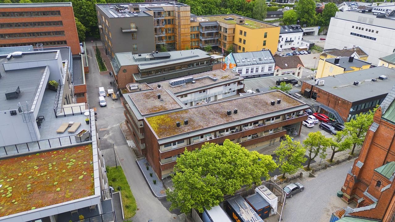 298688_DJI_20250610095712_0074_D Galleribilde