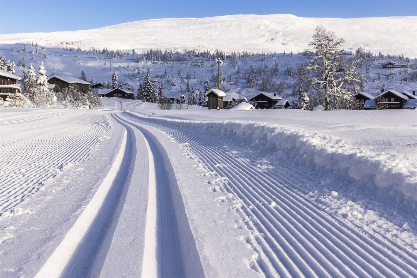 _62A4026.jpg Galleribilde