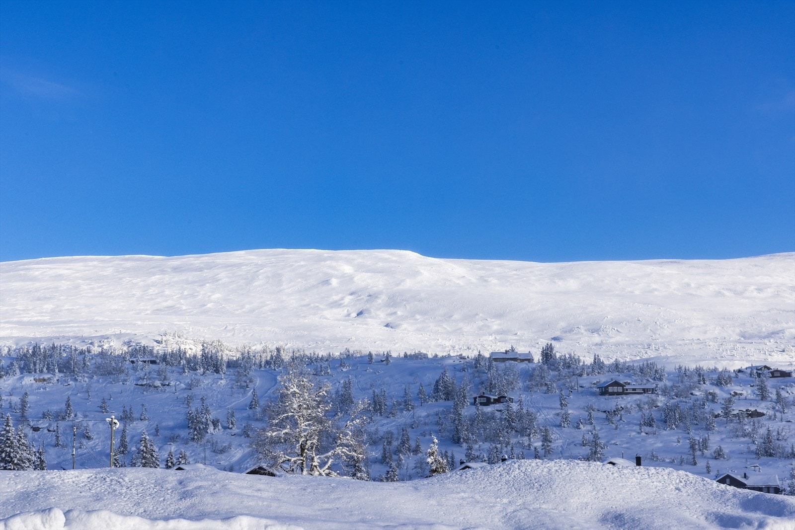 _62A4027.jpg Galleribilde