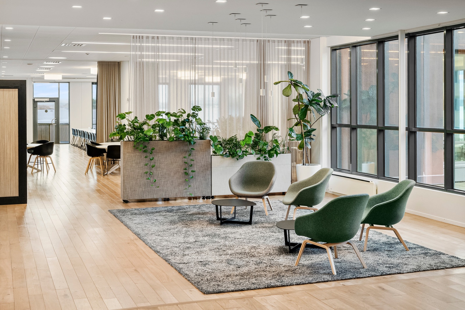 Fellesarealer Galleribilde