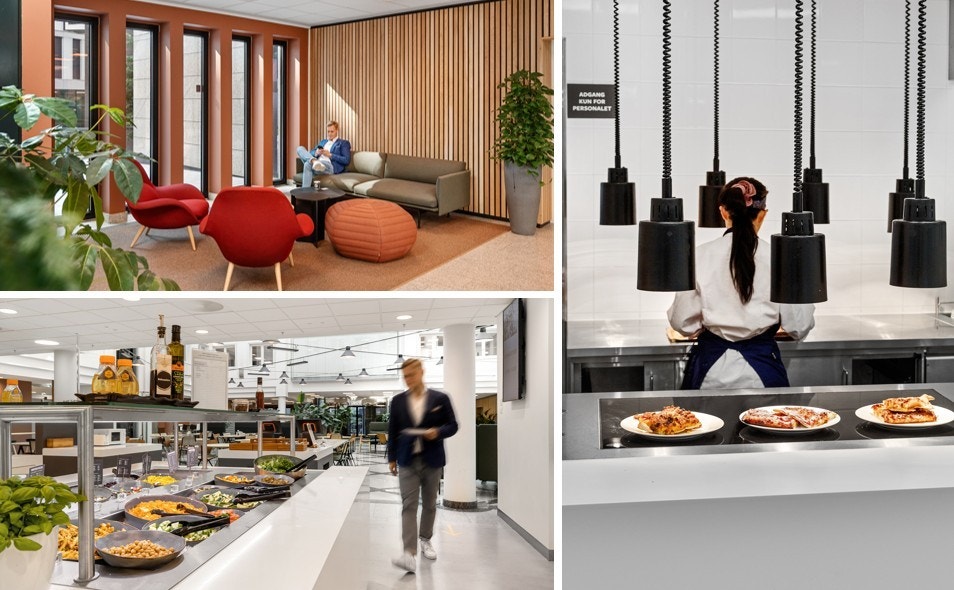 Fellesarealer Galleribilde