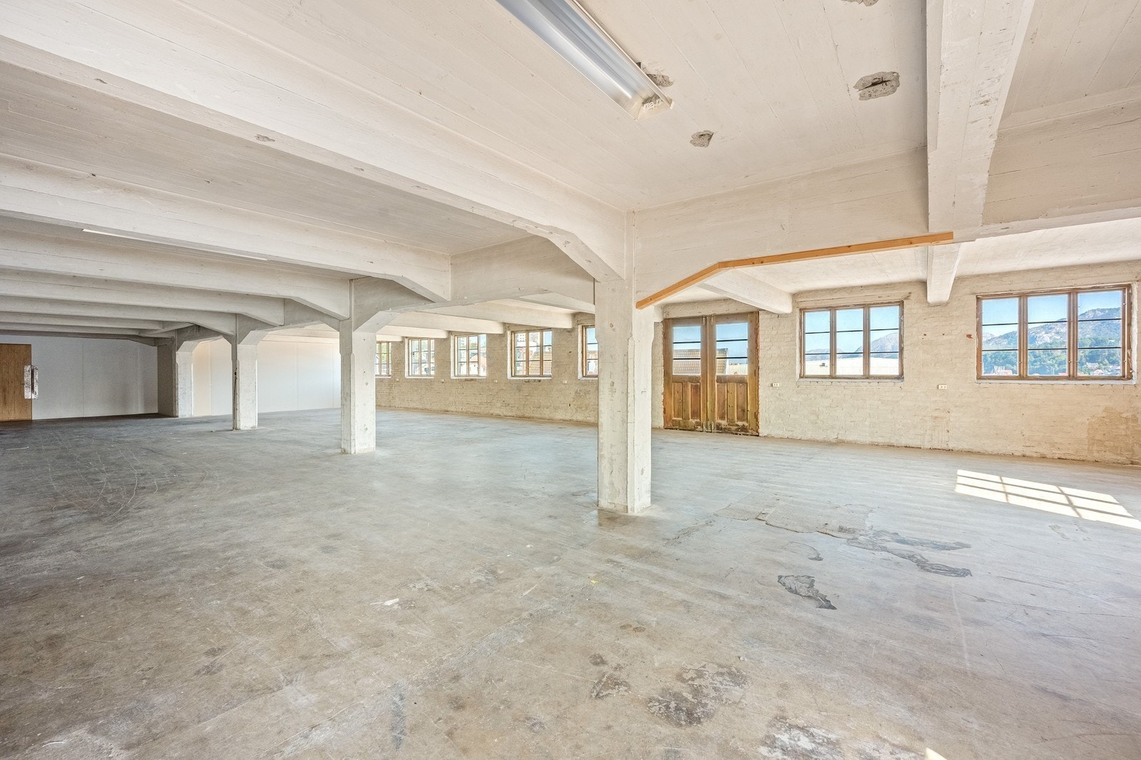 3 etg nr 11 Galleribilde