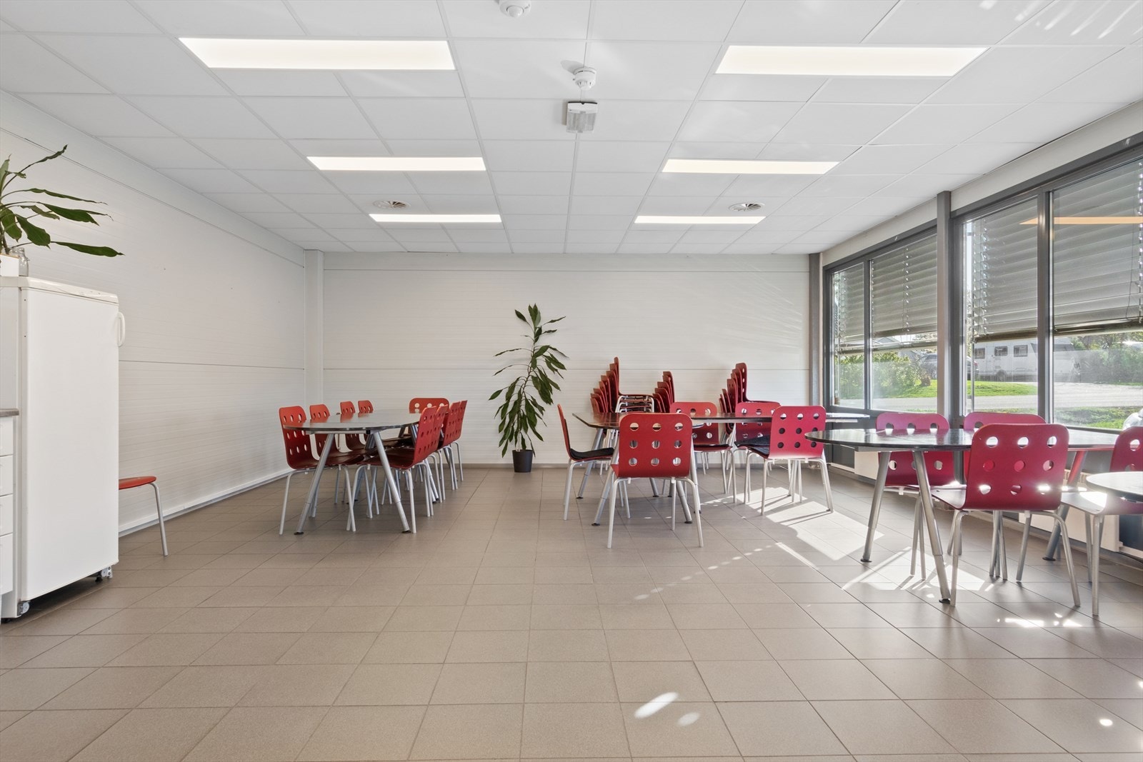 Felles spiserom Galleribilde