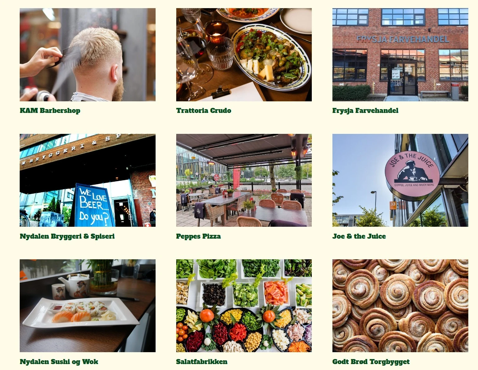 Nærområdet har et godt og variert handels-, service- og opplevelsestilbud. Galleribilde