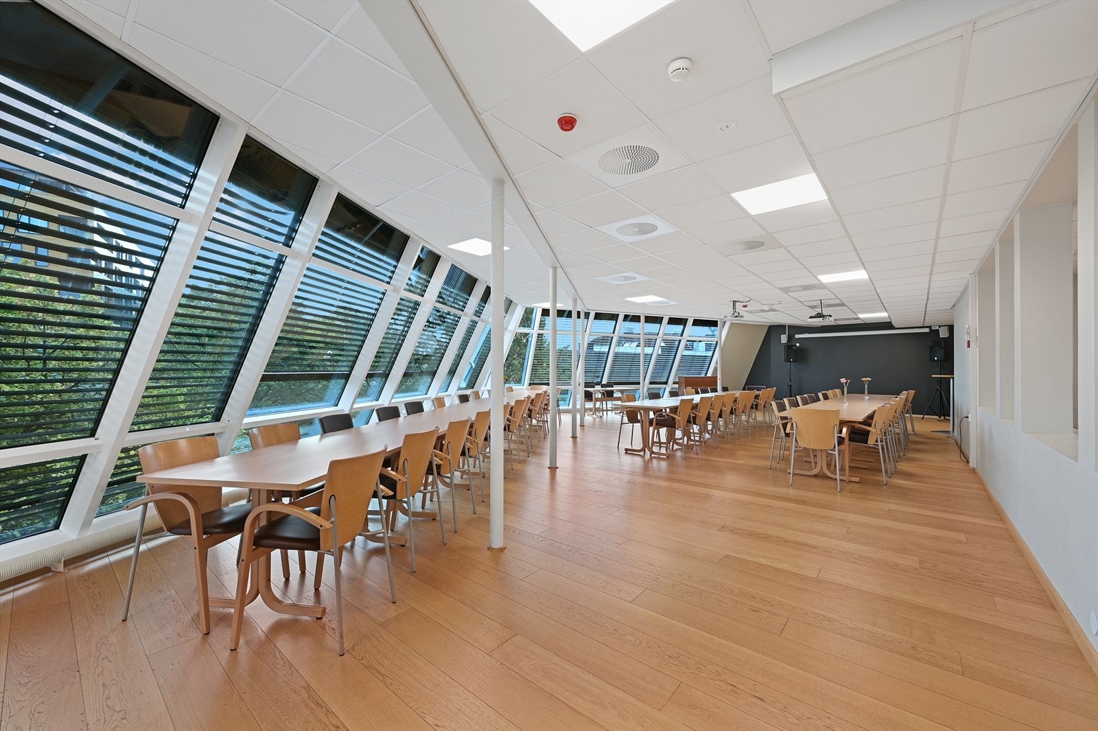 Felles kantine Galleribilde