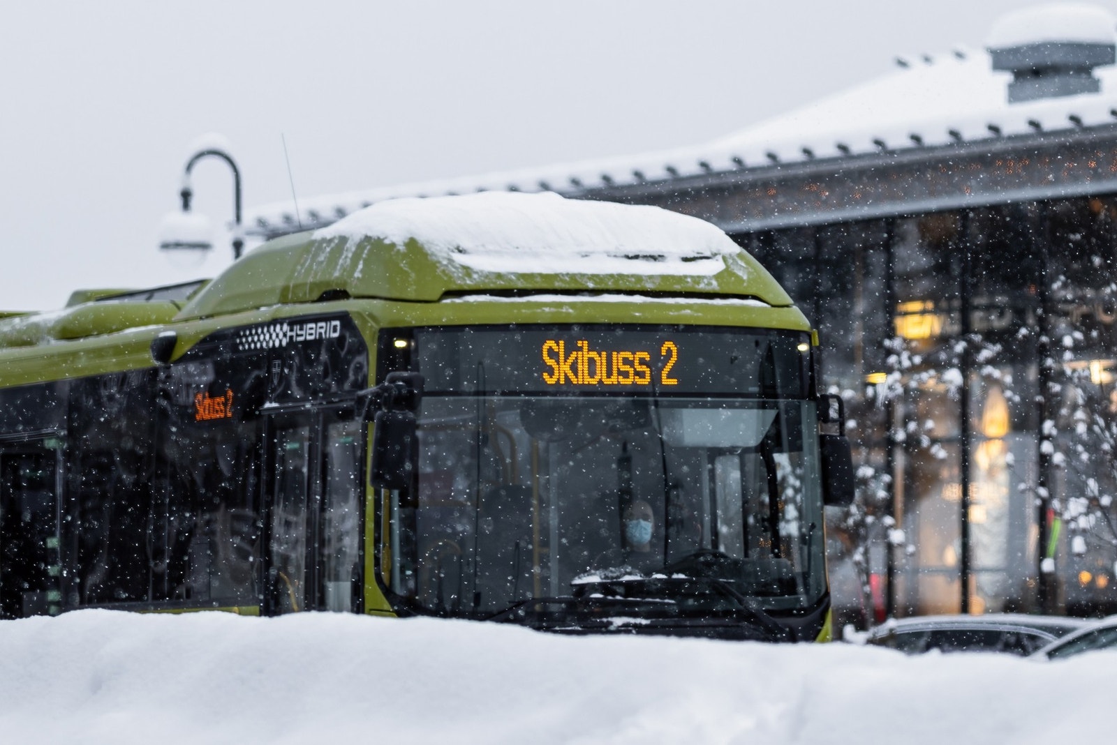 Foto: Aurelijus Norvaisas. Galleribilde