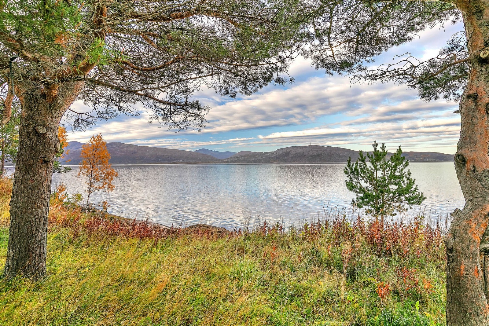 Utendørs 10 Galleribilde