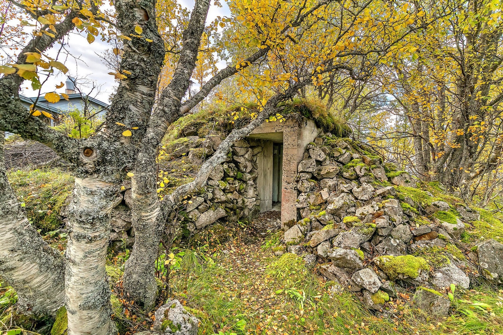 Utendørs 1 Galleribilde