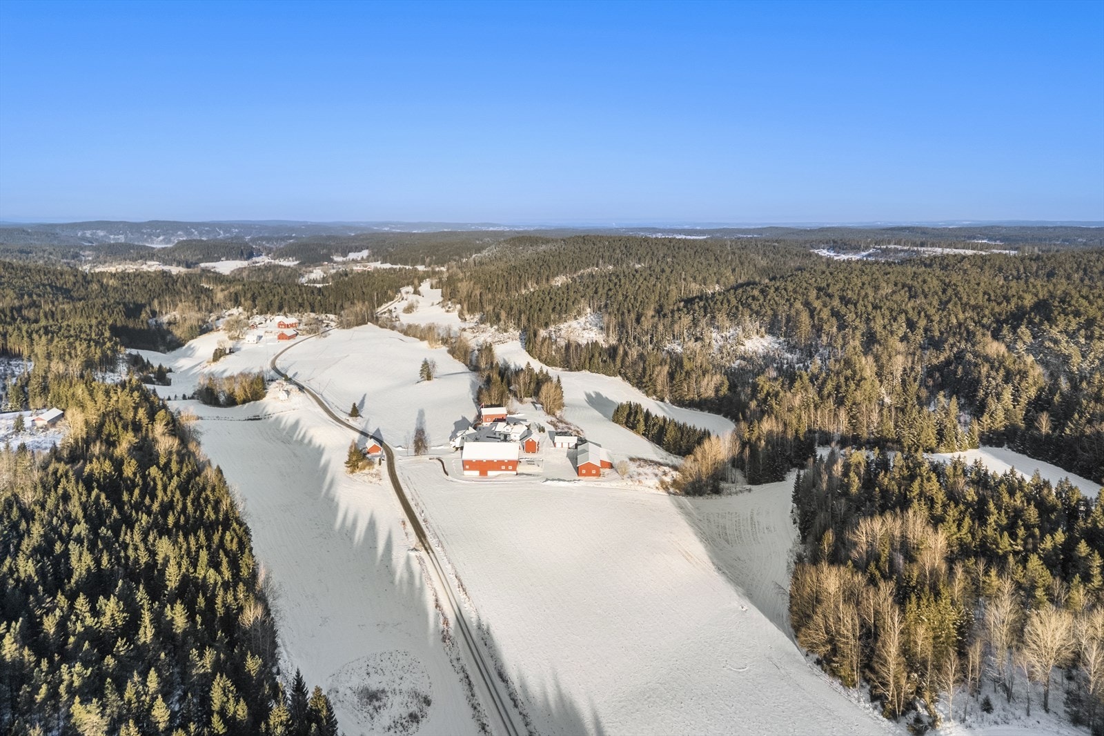 Det er 1 205,8 daa. produktiv skog, hvor det er ca. 11.600 m3 i hogstklasse 5. Galleribilde