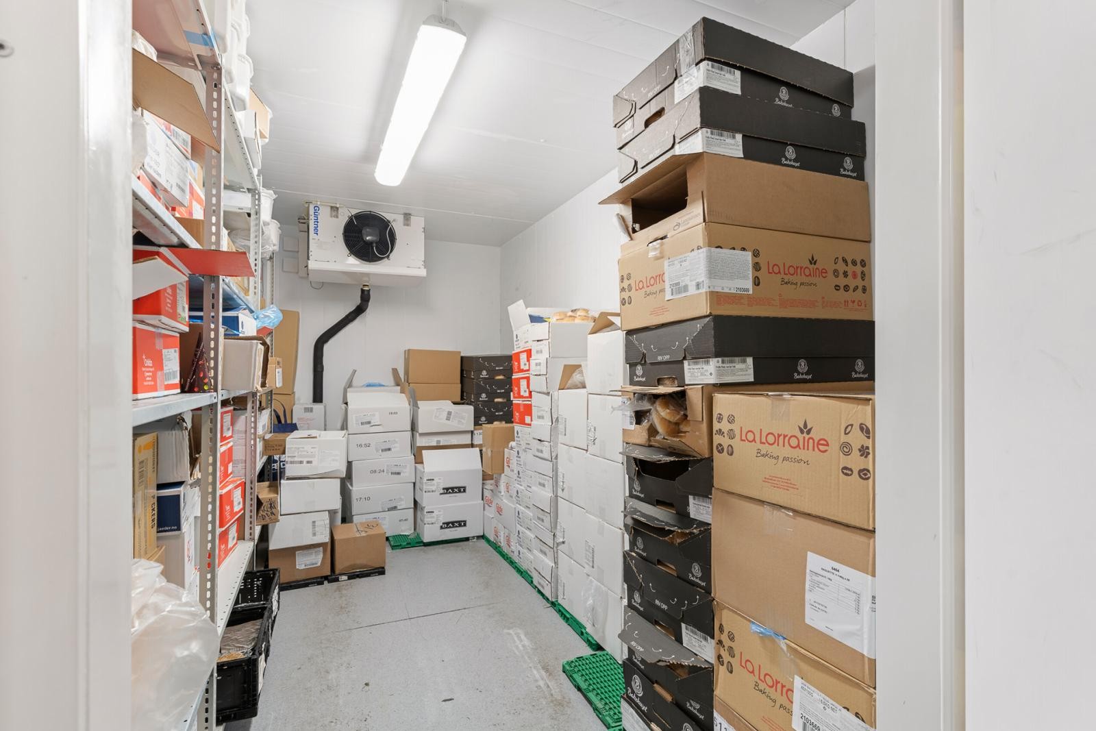 Fryserom. Galleribilde