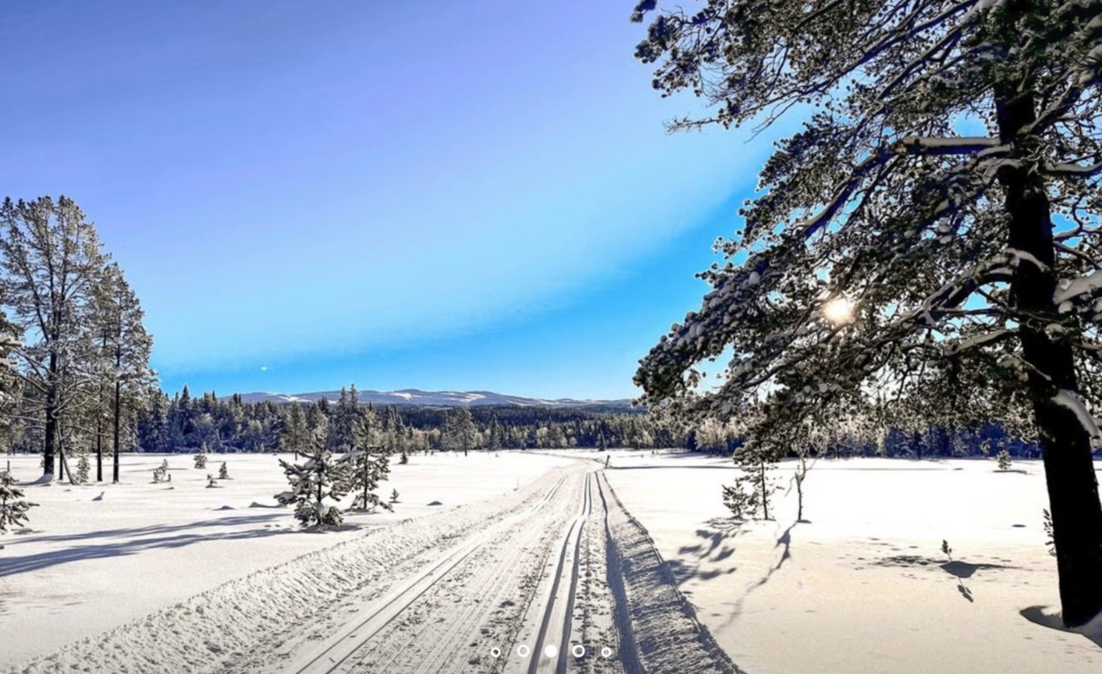 Om vinteren snor et stort nett av langrennsløyper seg gjennom det vennlige landskapet på begge sider av dalen. H Galleribilde