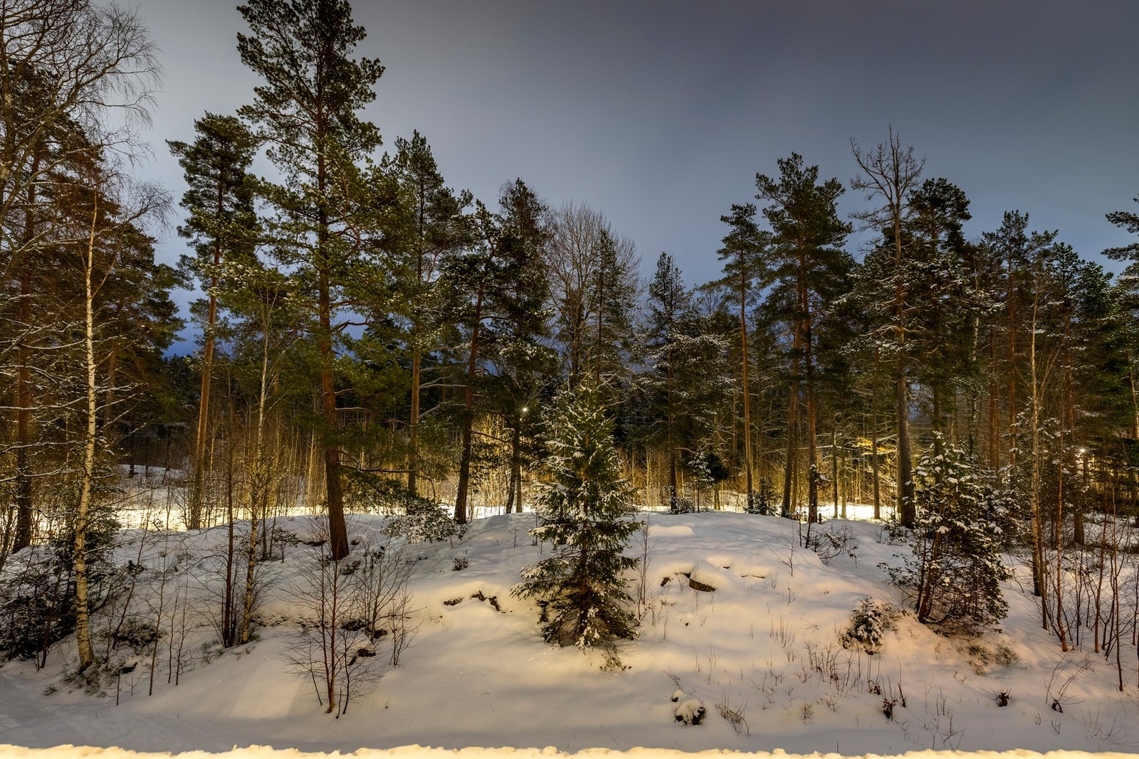 Fra balkongen har du en fredelig utsikten mot skogen. Galleribilde
