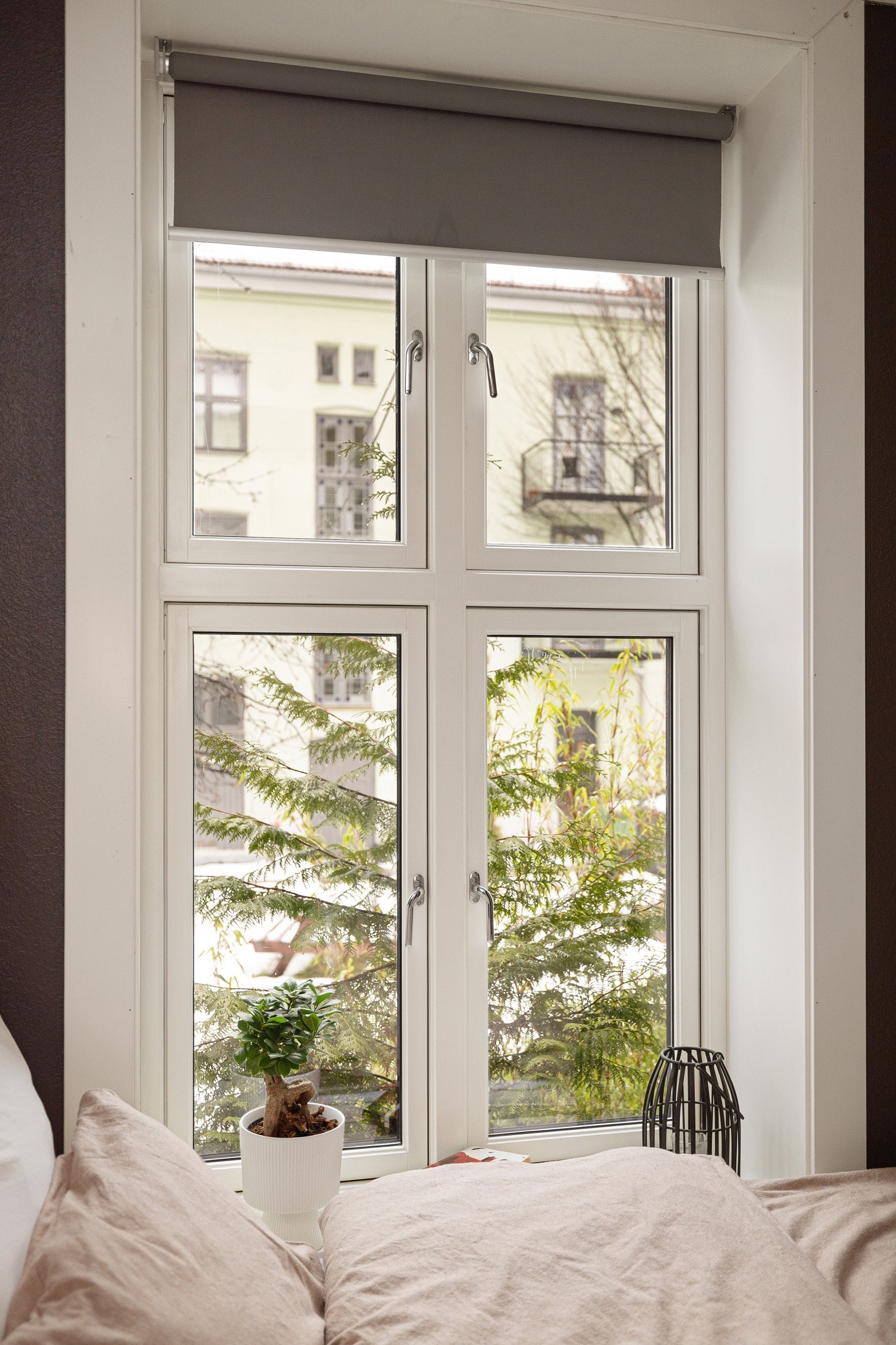 På utsiden av vinduene er det rikelig med grønne busker og trær. Galleribilde