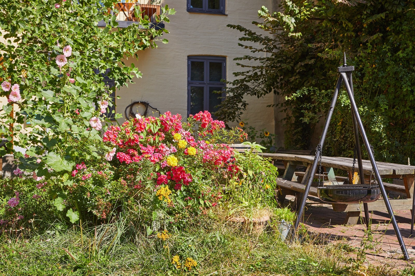 Det er også fin beplantning i hele bakgården. Galleribilde
