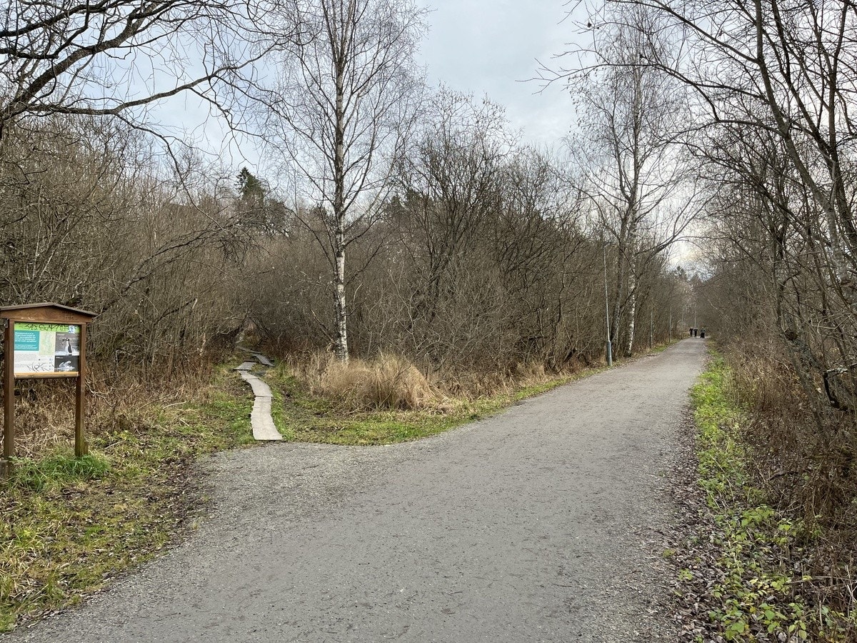 Joggeløyper Galleribilde
