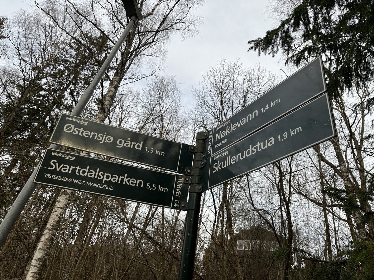 Turveier Galleribilde