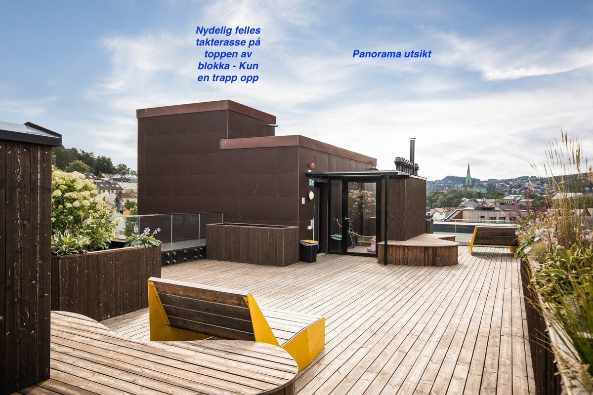 Takterasse Galleribilde