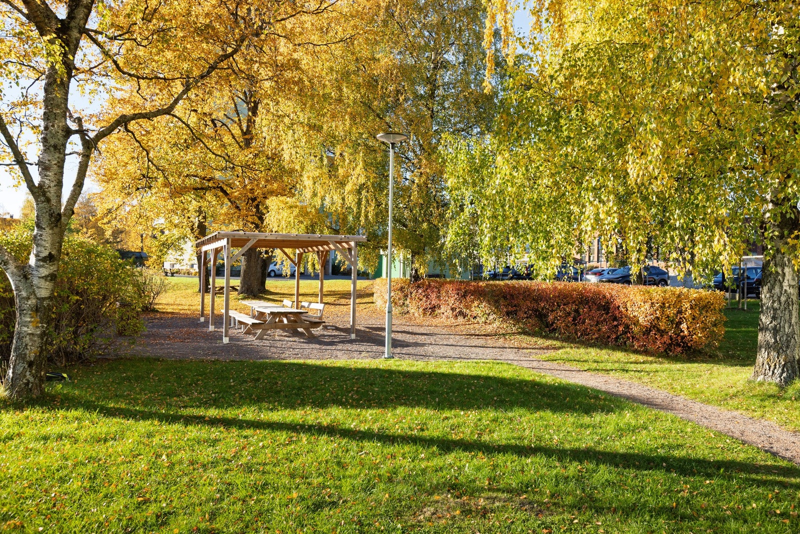 Pent opparbeidet bakgård. Galleribilde