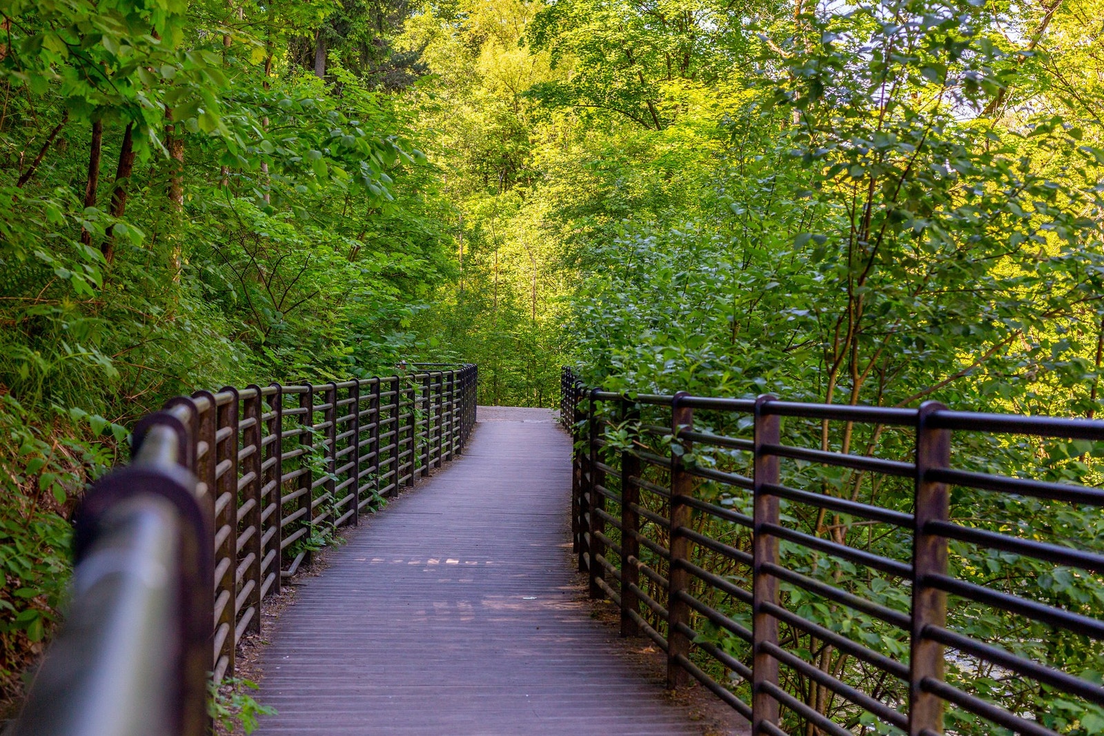 Nærområdet - Flotte turstier langs Alnaelva. Galleribilde